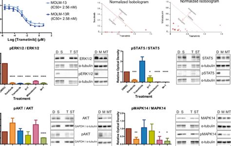 Trametinib Effectively Inhibits Molm 13 And Molm 13r Cells And