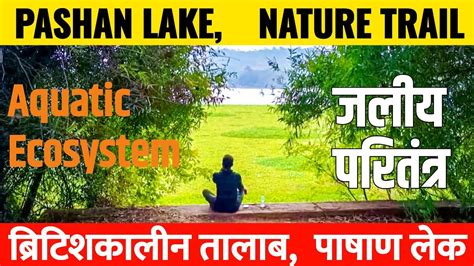 Pashan lake Nature Trail बरटशकलन तलब जलय परततर