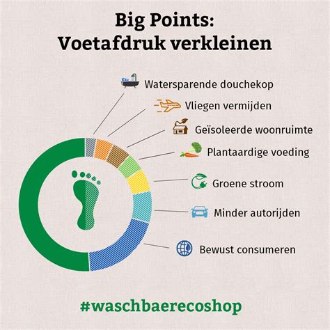 Ecologische Handafdruk Hoe Deze Te Vergroten Waschbär Magazine