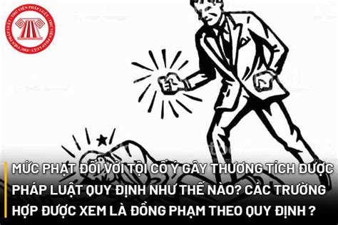 Mức Phạt đối Với Tội Cố ý Gây Thương Tích được Pháp Luật Quy định Như