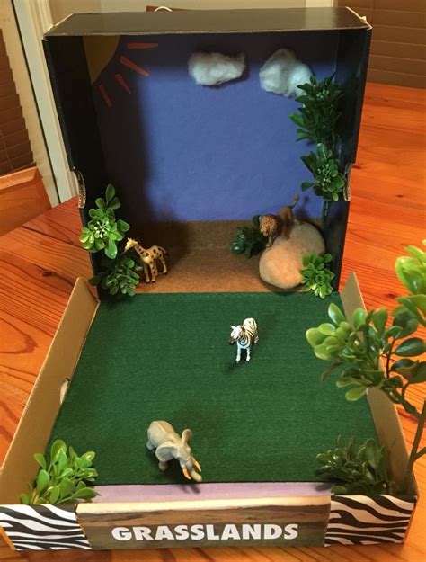 Grasslands Ecosystem Diorama/Model 3rd Grade Project | Ecosystems ...