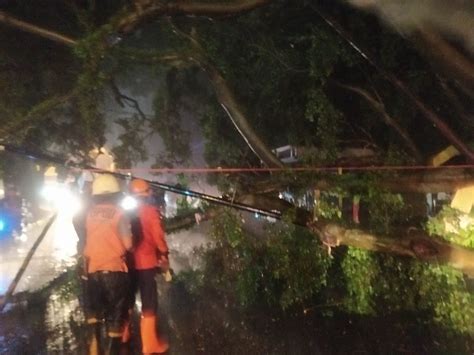 Diguyur Hujan Deras Dan Angin Kencang Kota Bogor Dilanda 8 Titik