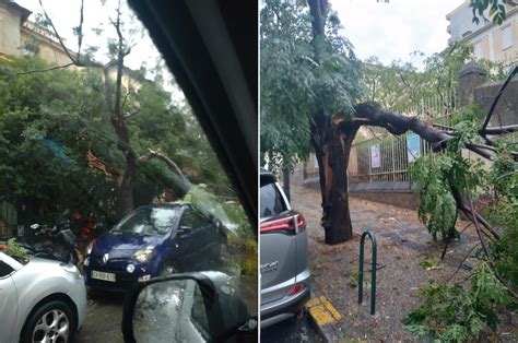 Violents orages en Corse jusqu à 225 km h et 5 victimes Météo Express