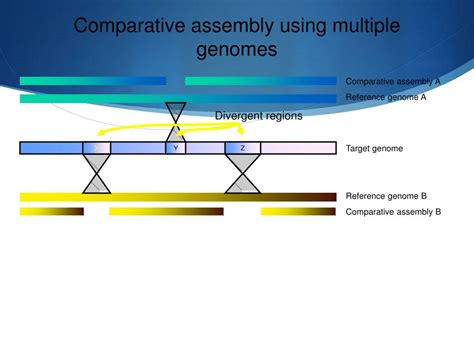 Ppt Whole Genome Sequencing Assembly And Annotation Powerpoint