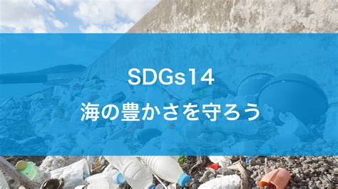 Sdgs14海の豊かさを守ろう どこまで達成？の検索結果 Yahooきっず検索