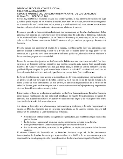 Doc Fuentes Del Derecho Internacional De Los Derechos Humanos