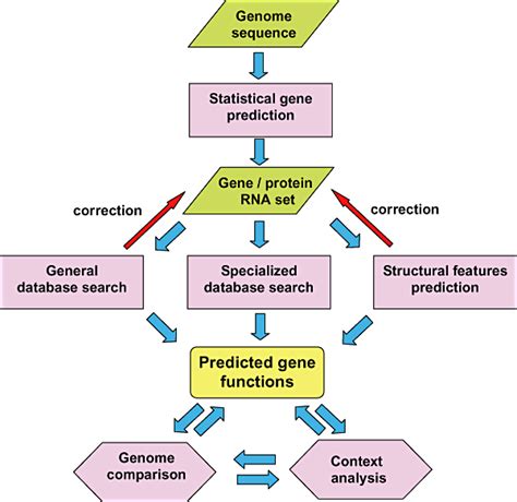 Genome Re Annotation And Opensource Annotation Pipelines Siezen