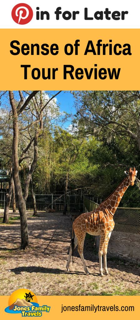 Sense of Africa Tour at Disney's Animal Kingdom Lodge | Review & Video