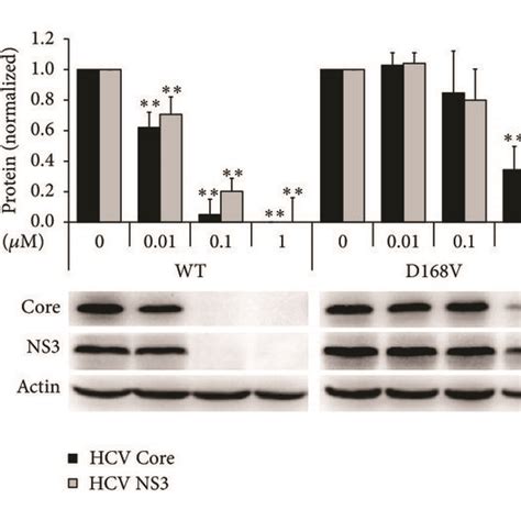 The Anti Hcv Activity Of Drugs Against Wt And Mutant Hcv In Huh