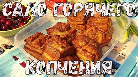 Как приготовить сало горячего копчения. Вкусное сало горячего копчения ...