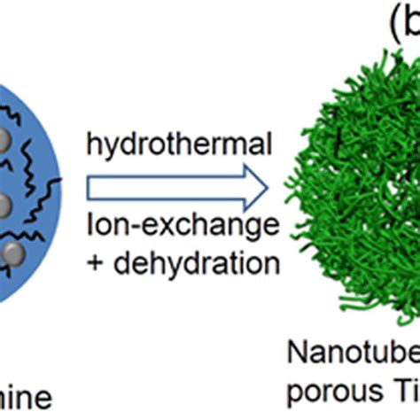 Schematic Illustration Of The Synthetic Process Of The TiO2 B Material