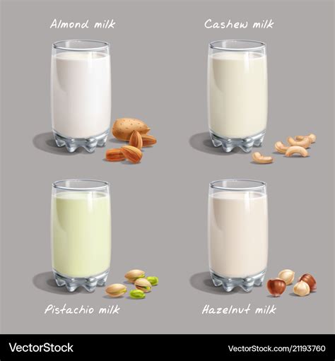Different Types Non Dairy Milk Vegan Nut Milk Vector Image