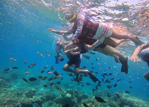 Bali Blue Lagoon Snorkeling Tour Getyourguide