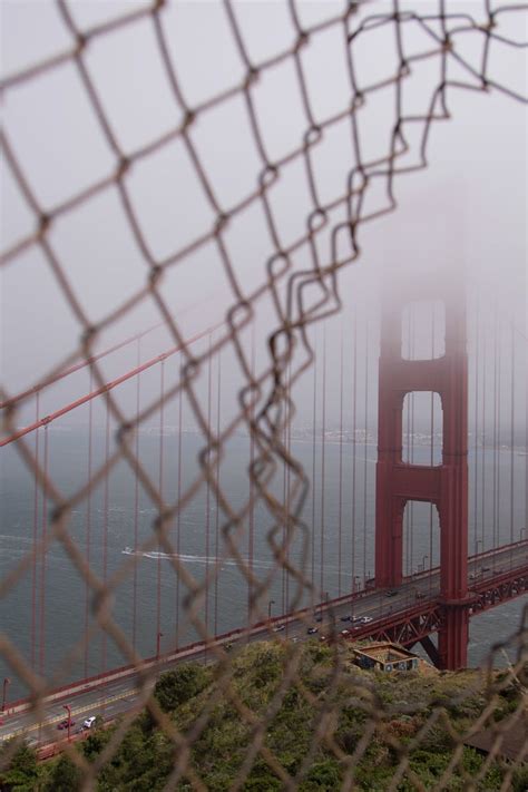 Free stock photo of fence, fog, golden gate bridge