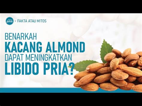 Temukan 7 Manfaat Kacang Almond Yang Jarang Diketahui