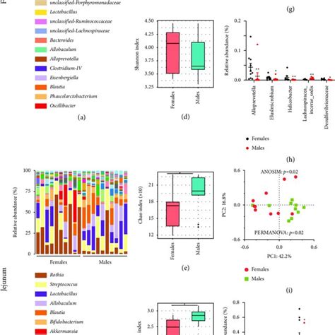 Sex Differences Of The Gut Microbiota Composition In SD Rats A B E