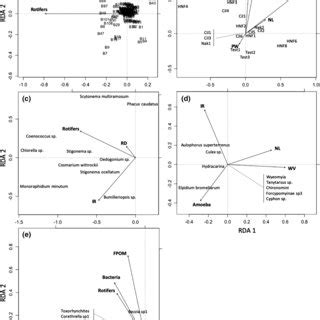 Redundancy Analysis Rda Biplots Of Taxa And Environmental Variables