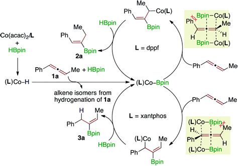 Ligand Controlled Cobalt Catalyzed Regiodivergent Hydroboration Of Aryl