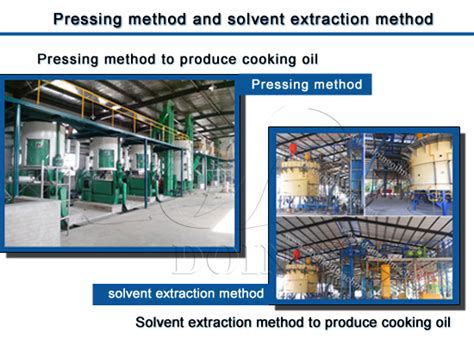 Vegetable Oil Extraction Machine Manufacturer Supplies Cooking Oil