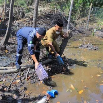 Pt Timah Tbk Berdayakan Masyarakat Di Lingkar Tambang Lewat Program