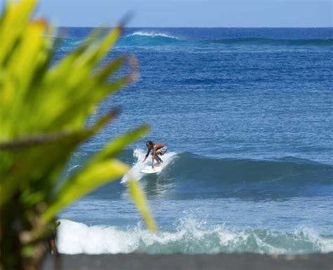 Tahiti Private Island Culture And Nature Highlights Tour Getyourguide