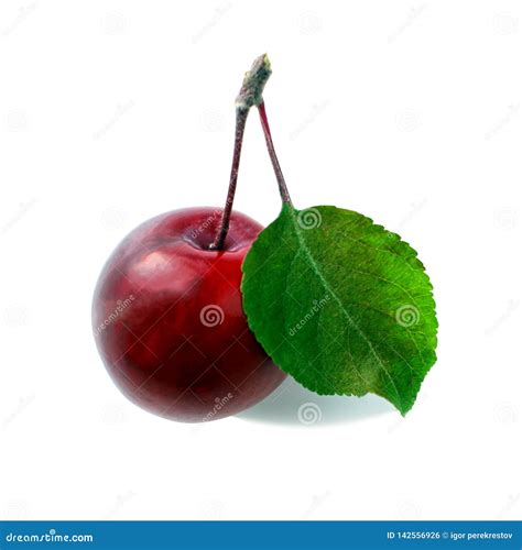 Single Ripe Apple Fruit Isolated On White Background With Clipping Path