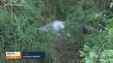 Moradores De Feira De Santana Dizem Que Cavalo Morto Foi Abandonado Em