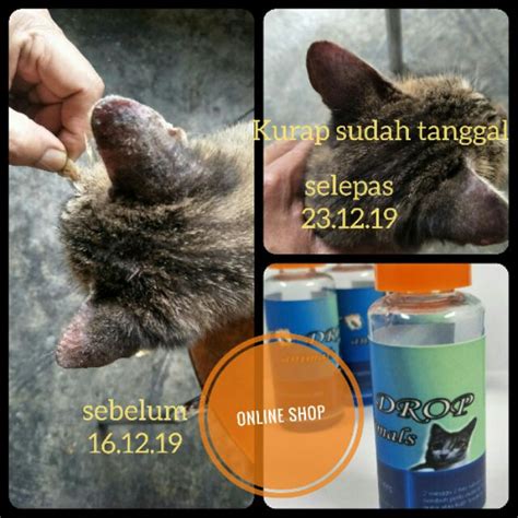 Ubat Kutu Kurap Cacing Kucing Arnab Shopee Malaysia