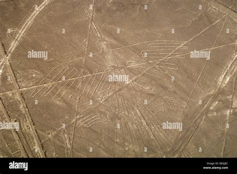 Nazca Lines Humming Bird Peru Stock Photo Alamy