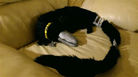 SCP - 682 on my Couch by Neutron-Quasar on DeviantArt