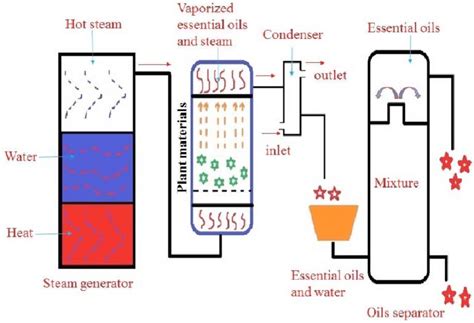 Diagrammatic Illustration Of Steam Distillation Method [2] Download