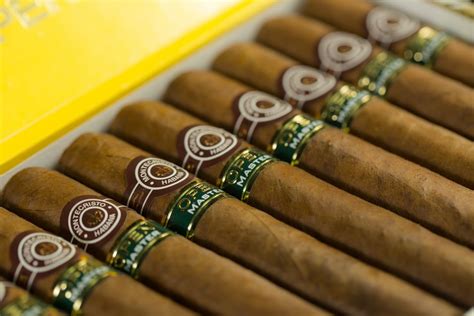 A Guide On Buying Cigars Online Buying Cigars