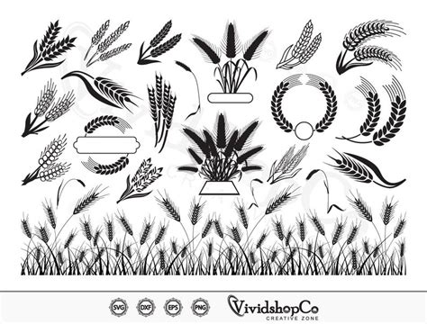 Wheat Svg Bundle Wheat Svg Grain Svg Wheat Clipart Wheat Etsy