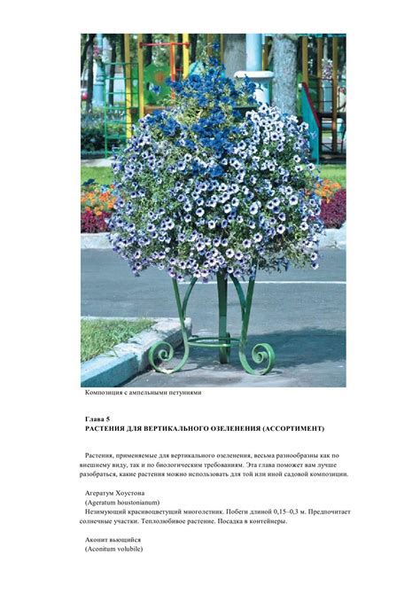 Е.Г. Колесникова | Вертикальное озеленение сада [2013] [PDF] :: NNM-Club