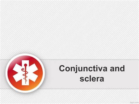 Conjunctiva | PPT