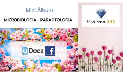 Mini Lbum Microbiolog A Parasitolog A Tomo Dra Cristina Cachi