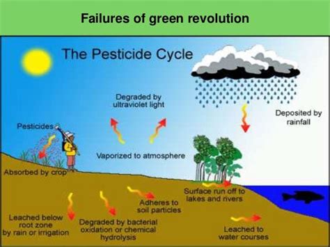 Green Revolution Diagram