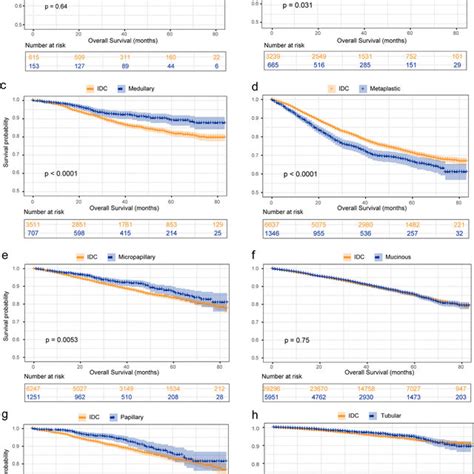 Comparative Analysis For The Prognosis Of Idc And Special Breast Cancer