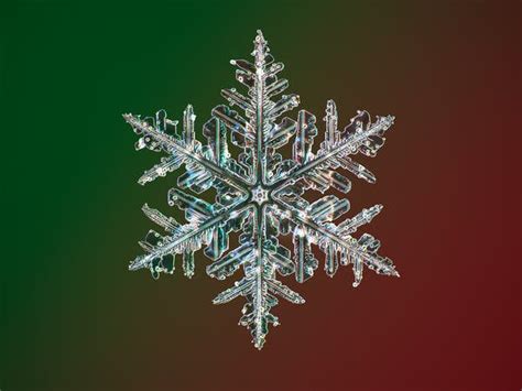 Photos of Snowflakes Like You've Never Seen Them Before - The New York ...