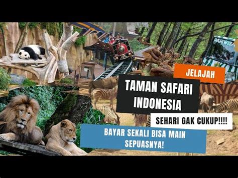 MAIN SEPUASNYA DI TAMAN SAFARI INDONESIA SEHARI GAK CUKUP ADA