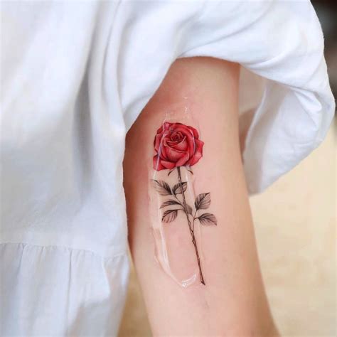 Significado da tatuagem de Rosa e muitas inspirações Blog Tattoo2me