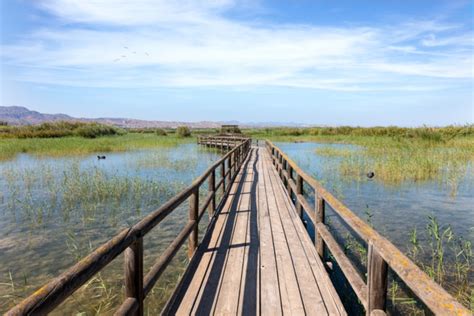 Att G Ra I Torrevieja Spanien Sev Rdheter Och Aktiviteter