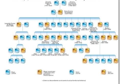 analiza el siguiente árbol genealógico perteneciente a la familia de la