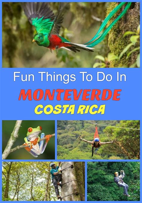 Top Fun Things To Do In Monteverde Costa Rica On Vacation Selvatura