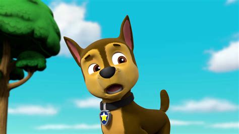 Watch Paw Patrol Season Episode Paw Patrol Pups Save A Ghost