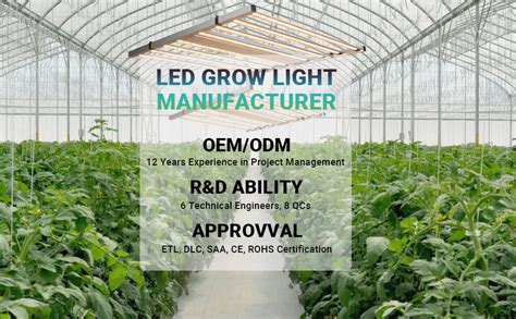 Professional Led Grow Light Supplier Auxgrow