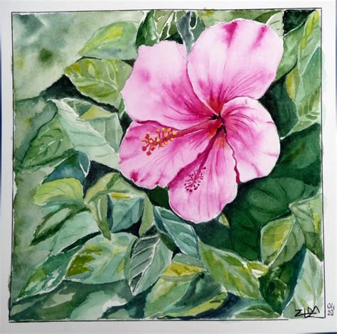 Another Pink Hibiscus Wetcanvas Online Living For Artists