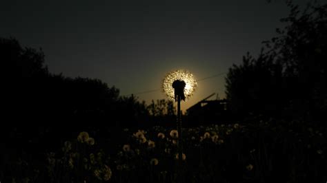 Fotos Gratis Ligero Noche Luz De Sol Oscuridad Luna Llena Luz De