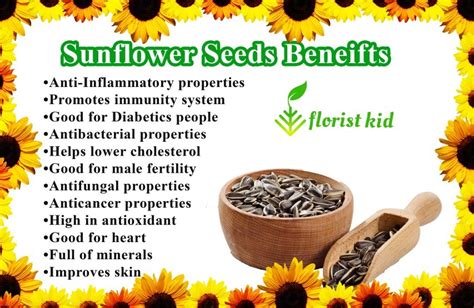 Sunflower Seeds Benefits Nutrition And Side Effects