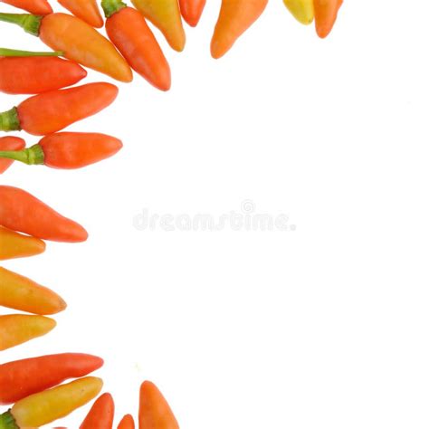 Hot Chili Peppers Isolated On A White Background Stock Image Image Of